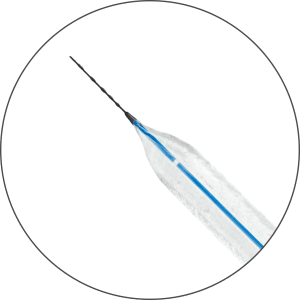 Advocate PTA Catheter Serene Hydrophilic Technology